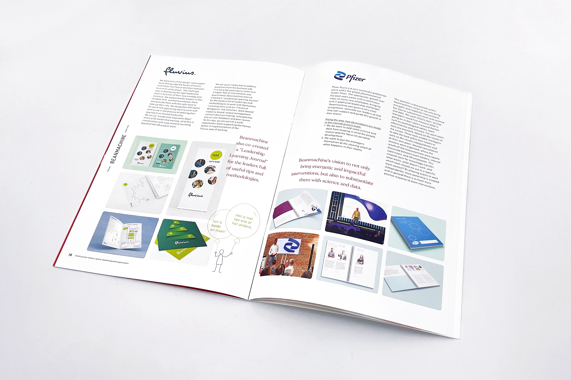 beanmachine corporate brochure tonk graphic design branding communication layout fonts colors typography business icons bookdesign