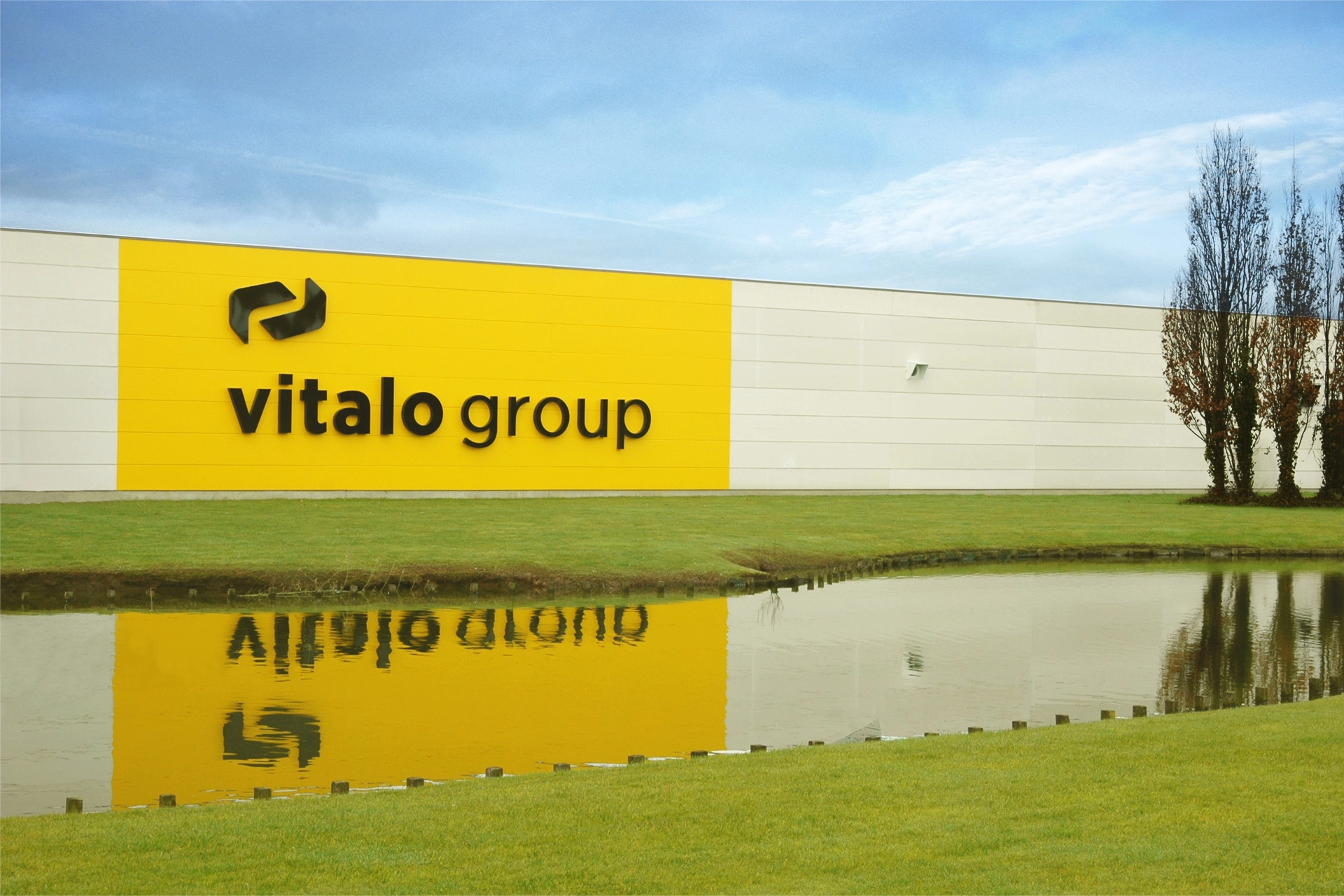 vitalo group branding Tonk graphic design layout fonts colors typography business icons visual