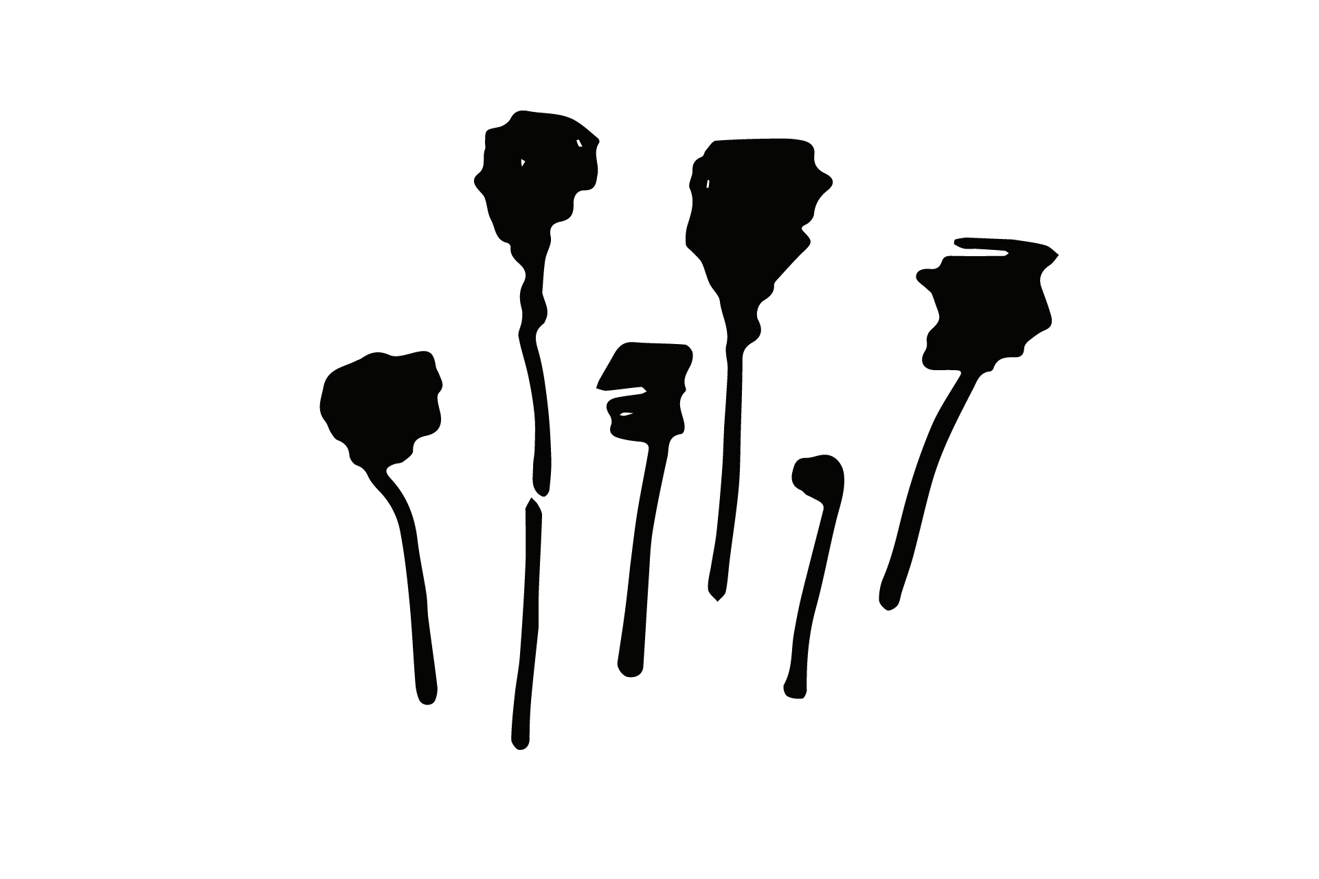 dripls tonk graphic design branding communication print design consultancy editorial design poster flyer logo