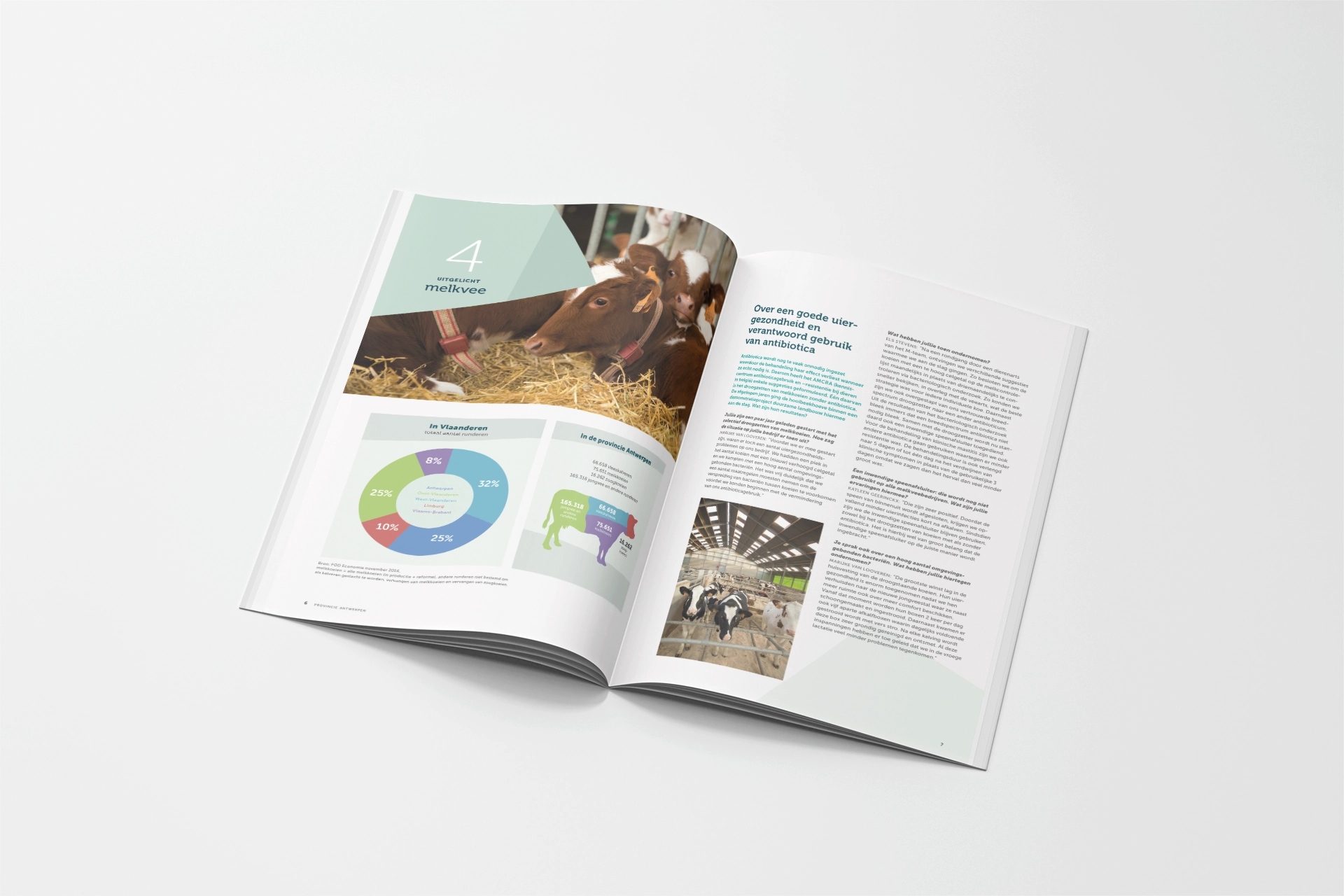 Provincie Antwerpen tonk graphic design branding communication print design consultancy editorial design poster flyer logo