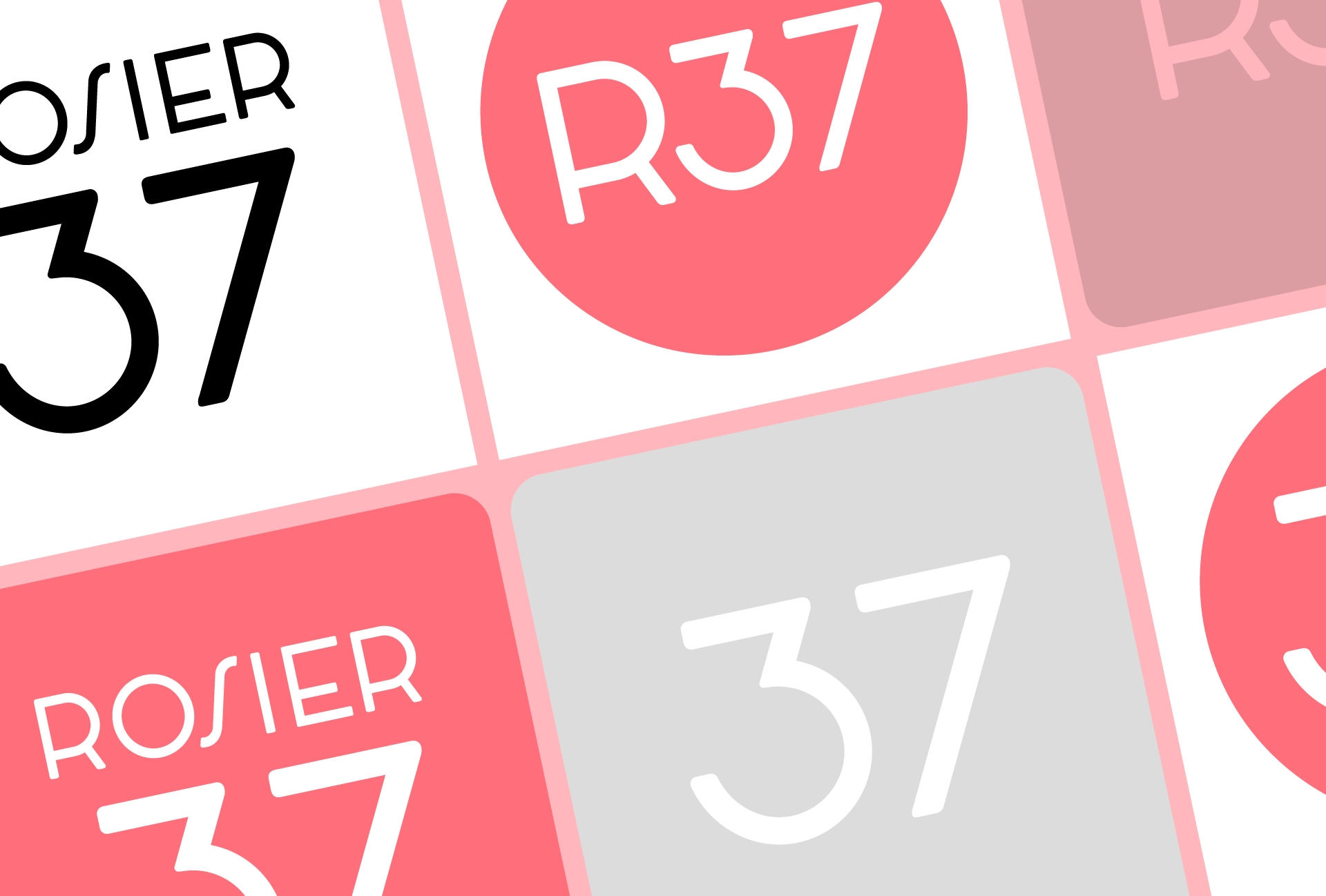 Rosier37 branding communication Tonk graphic design layout fonts colors typography business icons