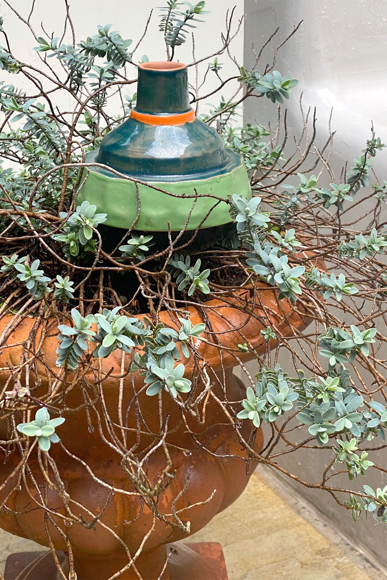 dripls tonk graphic design branding communication print design consultancy editorial design poster flyer logo