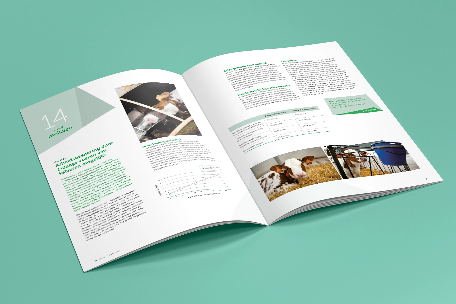 Provincie Antwerpen tonk graphic design branding communication print design consultancy editorial design poster flyer logo