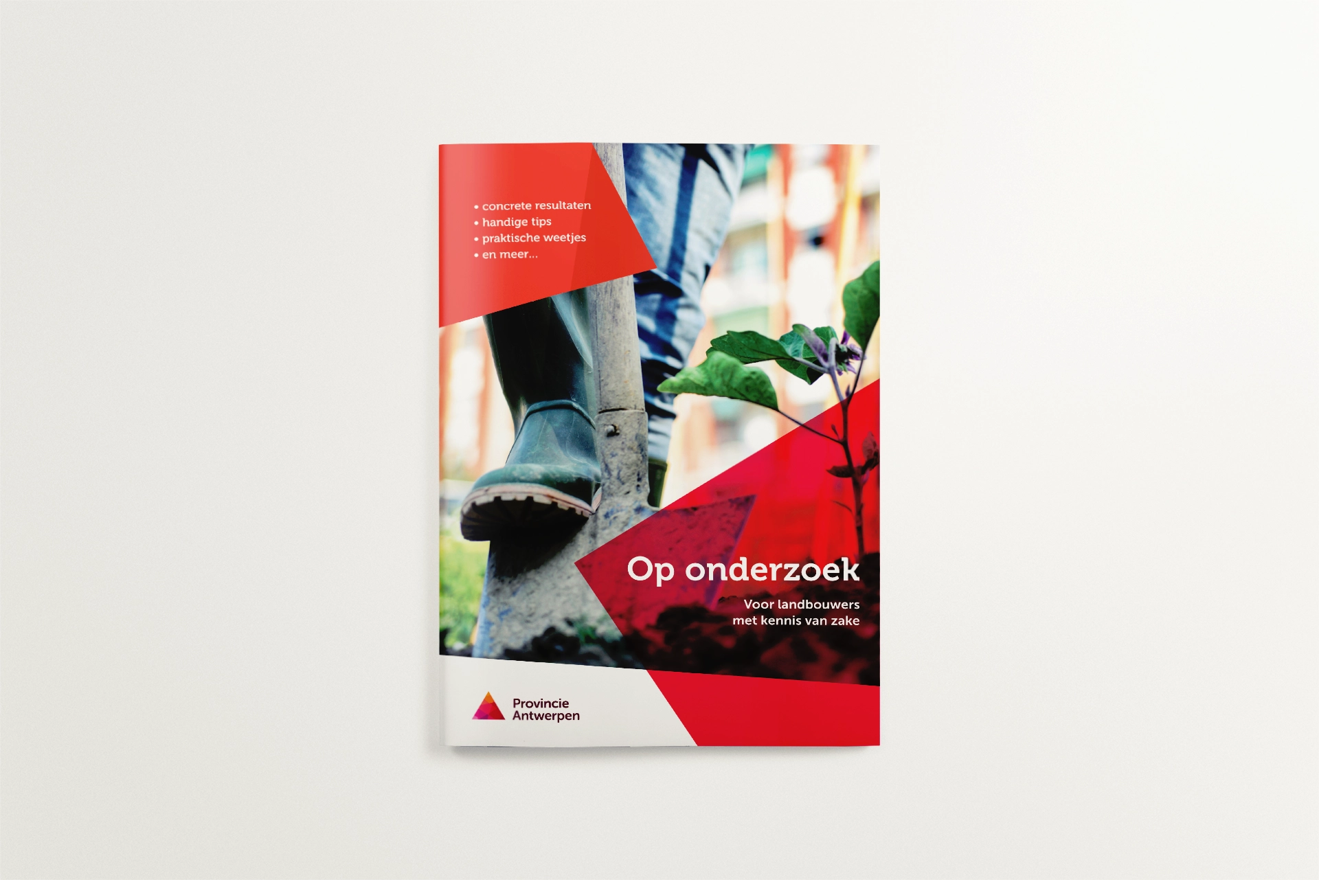 Provincie Antwerpen tonk graphic design branding communication print design consultancy editorial design poster flyer logo