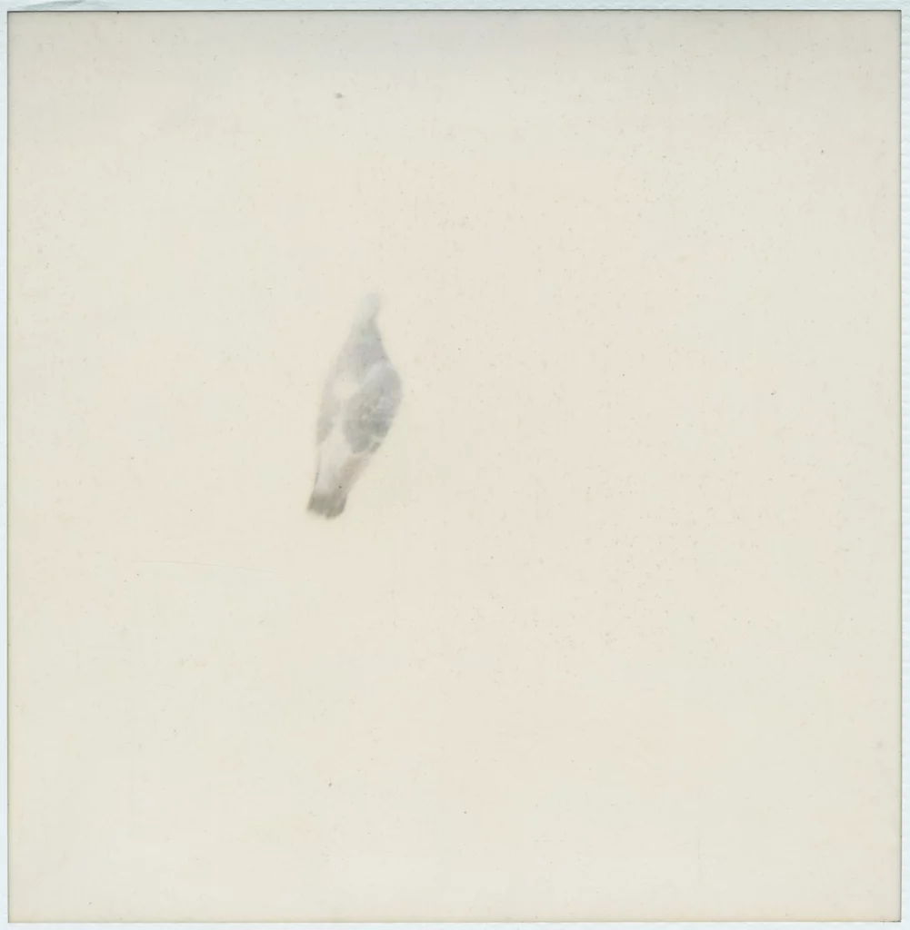 Deburen Mukha tentoonstellingsbrochure marokaanse kunst tonk graphic design branding communication print design consultancy editorial design poster flyer logo