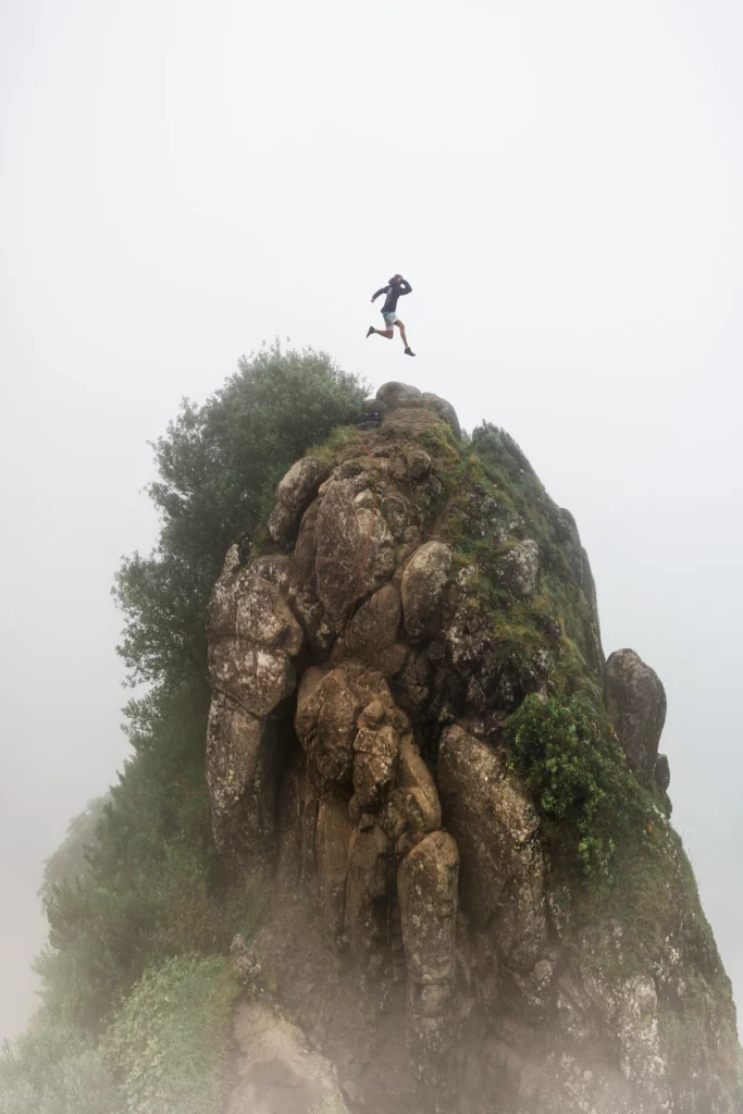 peak progress tonk graphic design branding communication print design consultancy editorial design poster flyer logo