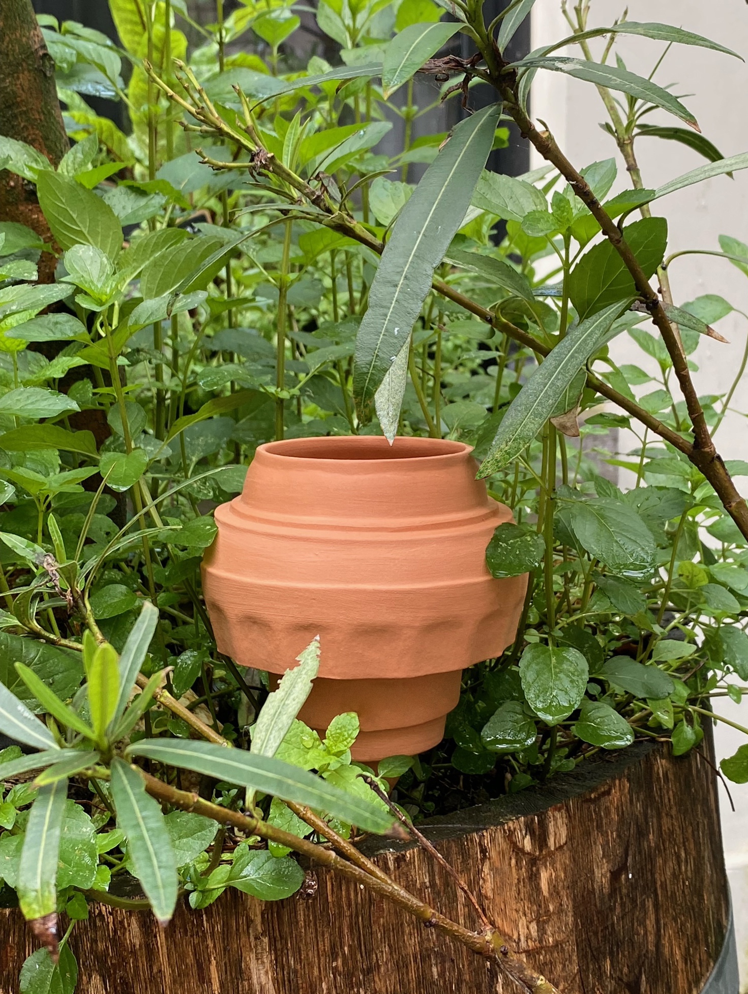 dripls tonk graphic design branding communication print design consultancy editorial design poster flyer logo