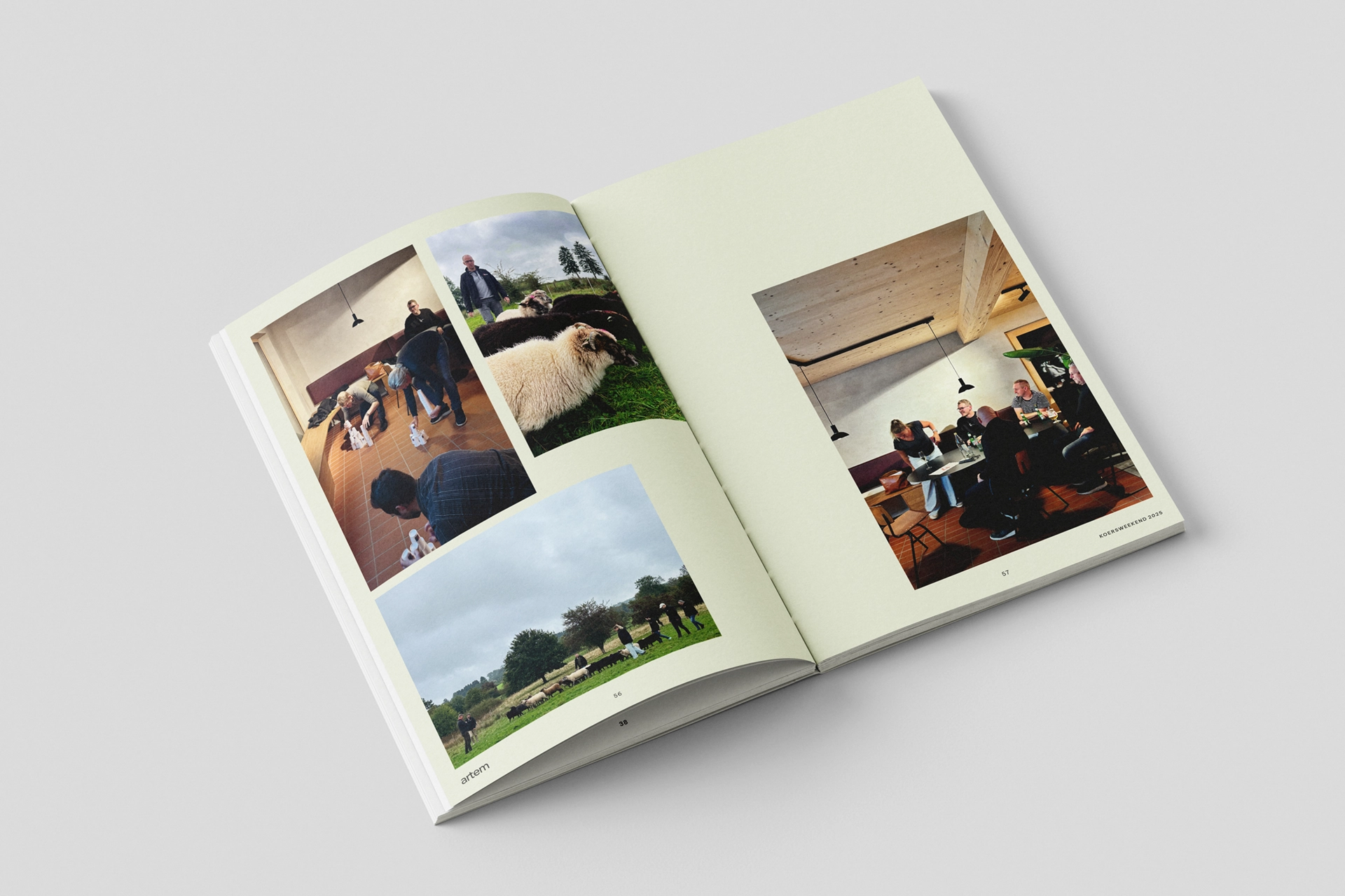 tonk graphic design branding communication print design consultancy editorial design poster flyer logo